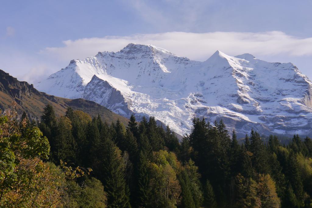 Chalet Acheregg Wengen Esterno foto