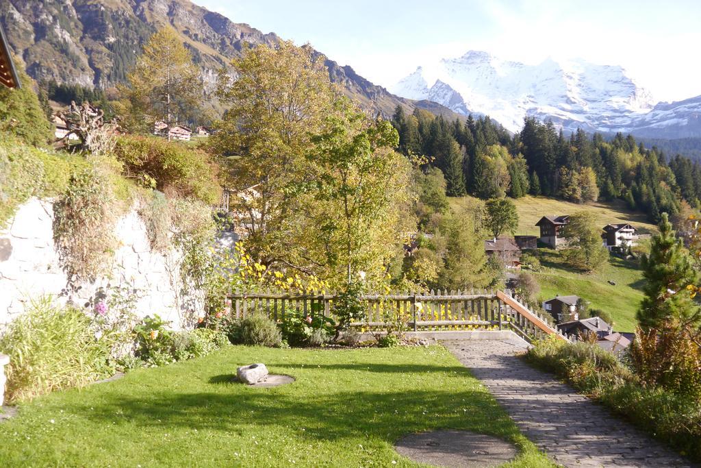 Chalet Acheregg Wengen Esterno foto