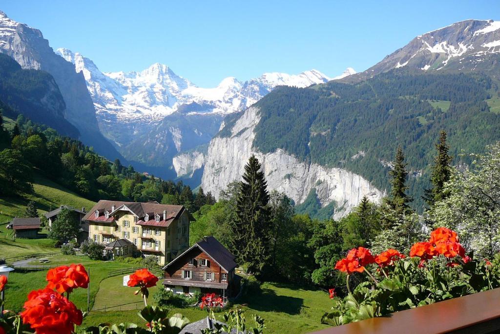 Chalet Acheregg Wengen Esterno foto