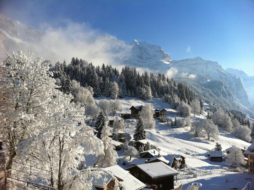 Chalet Acheregg Wengen Esterno foto
