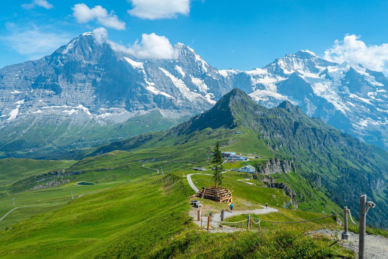 Chalet Acheregg Wengen Esterno foto